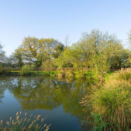 Our Goldfinch 1- Sleeps 2 Persons- Private Hot Tub-Pet Friendly-Tranquil Holiday Away From It All Yet Not Far From St Austell- The Holiday Home Has One Bedroom, Living And Dining Area, Equipped Kitchen-Decking-Outdoor Furniture-Fishing Lakes And More Grampound Kültér fotó