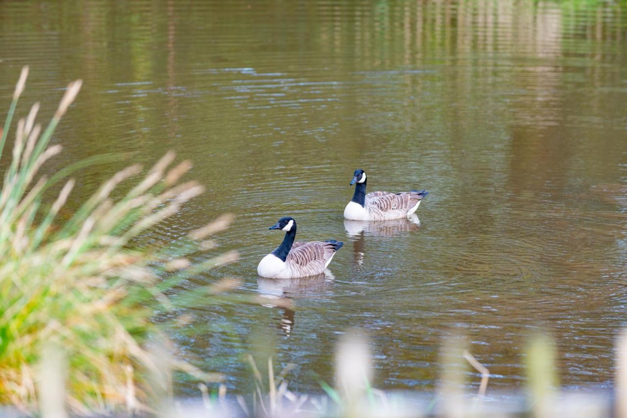 Our Goldfinch 1- Sleeps 2 Persons- Private Hot Tub-Pet Friendly-Tranquil Holiday Away From It All Yet Not Far From St Austell- The Holiday Home Has One Bedroom, Living And Dining Area, Equipped Kitchen-Decking-Outdoor Furniture-Fishing Lakes And More Grampound Kültér fotó